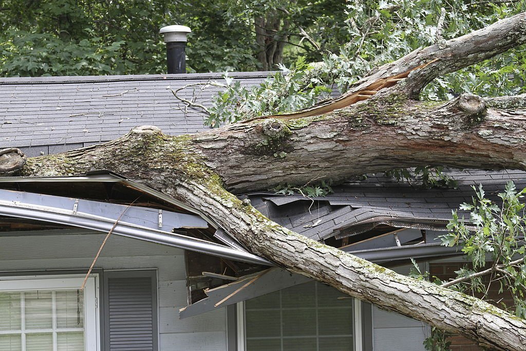 Roof Protection