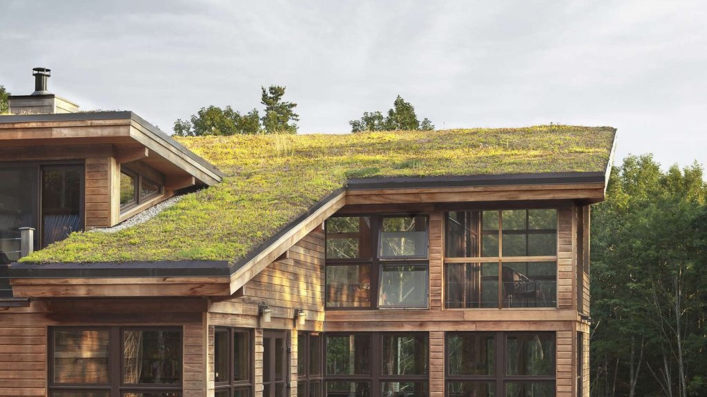 Green Roofing