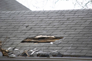 Roof inspection