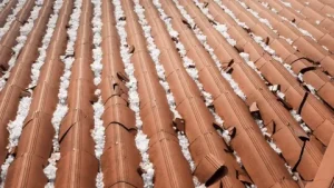 roof damage